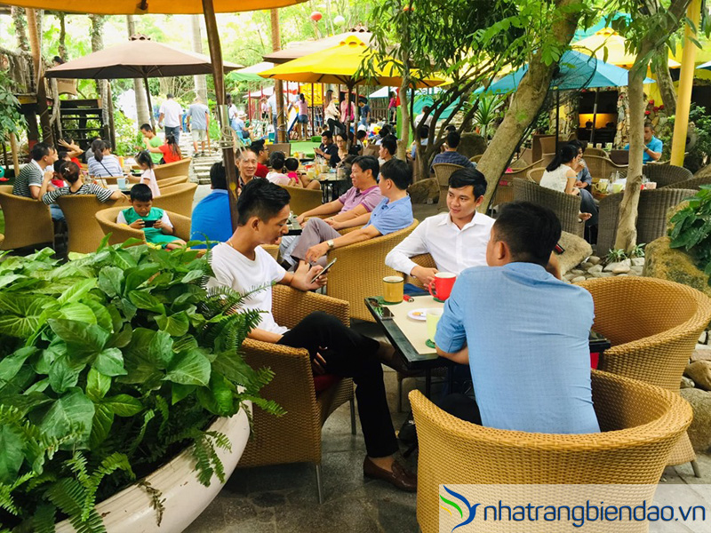 Cafe Hoa Đồng Nội Nha Trang